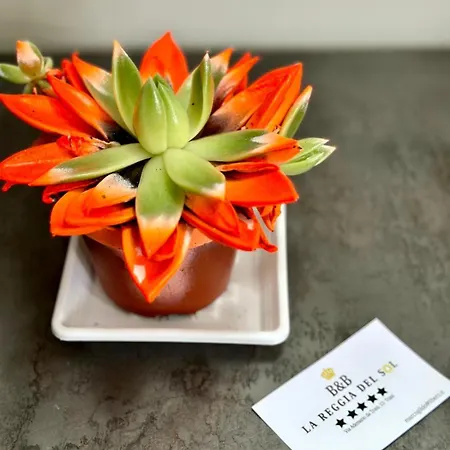 La Reggia Del Sol לינה וארוחת בוקר 4*