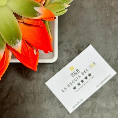 B&B La Reggia Del Sol 트라니